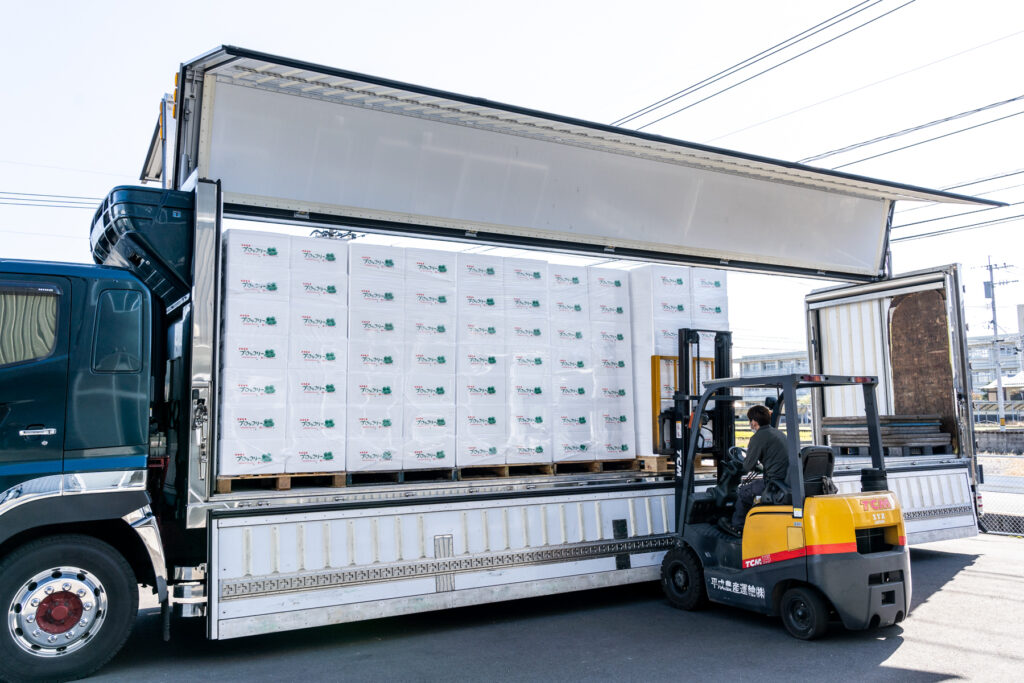 ブロッコリー出荷